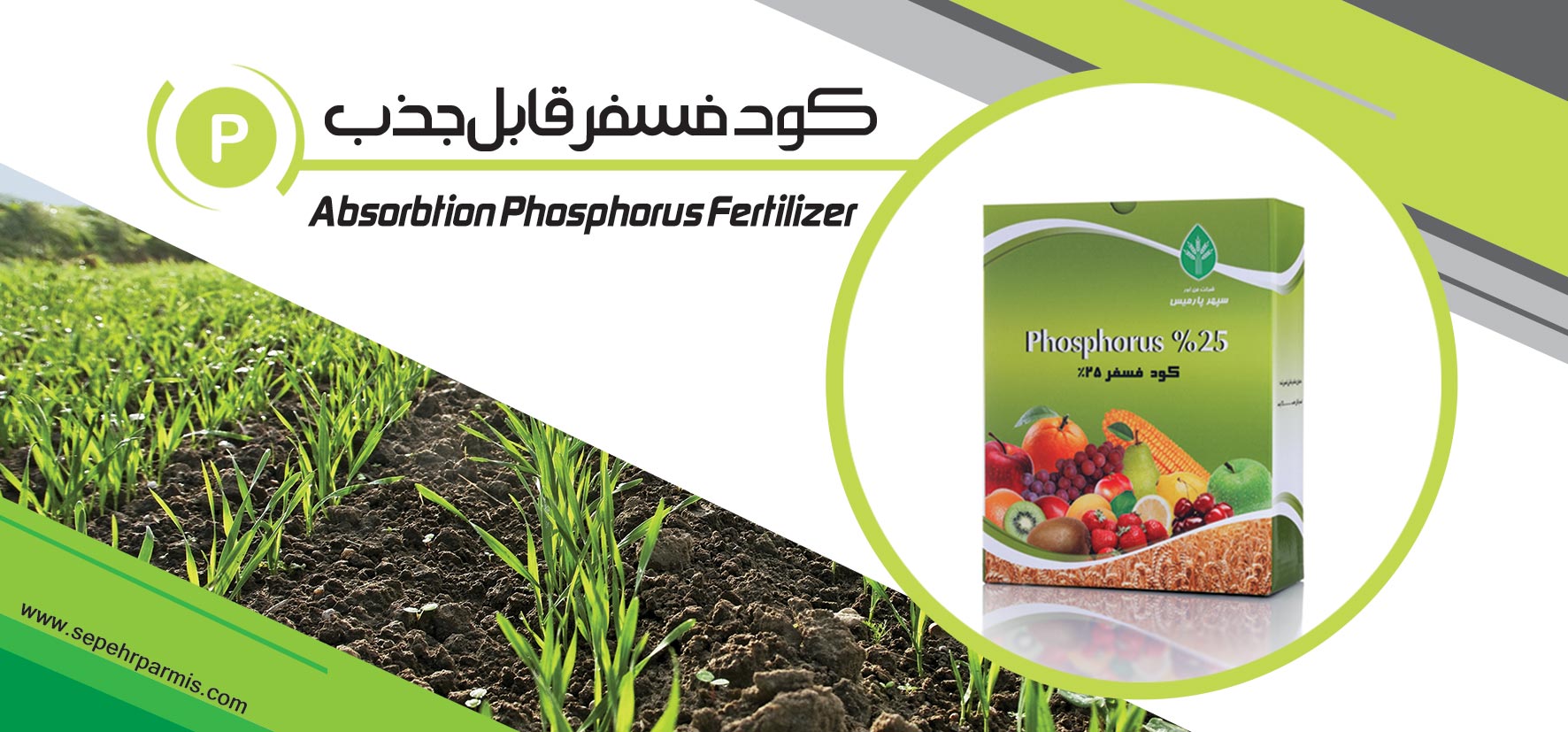 absorbtion phosphorus fertilizer