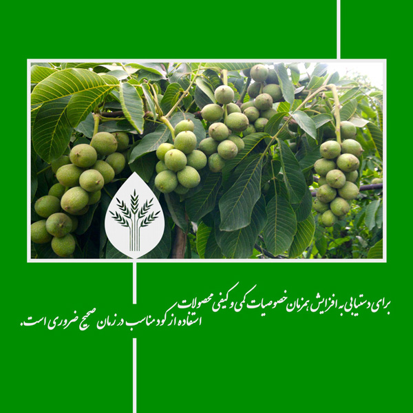 Results and performance of fertilizers