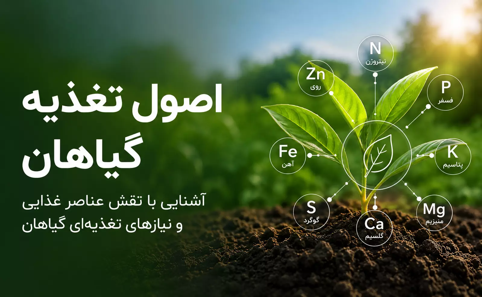 اصول تغذیه گیاهان