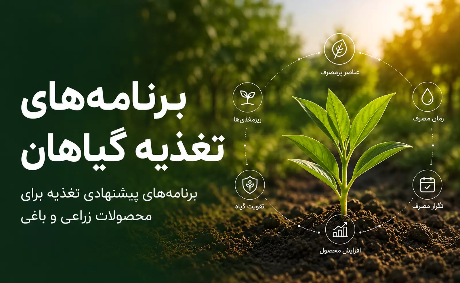 برنامههای تغذیه گیاهان