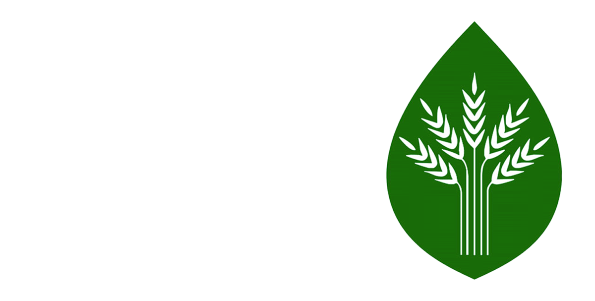 لوگو شرکت فن آور سپهر پارمیس