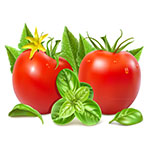 توصیه کودی گوجه فرنگی