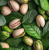 تغذیه درختان پسته