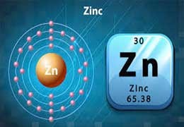 The importance of the zinc element